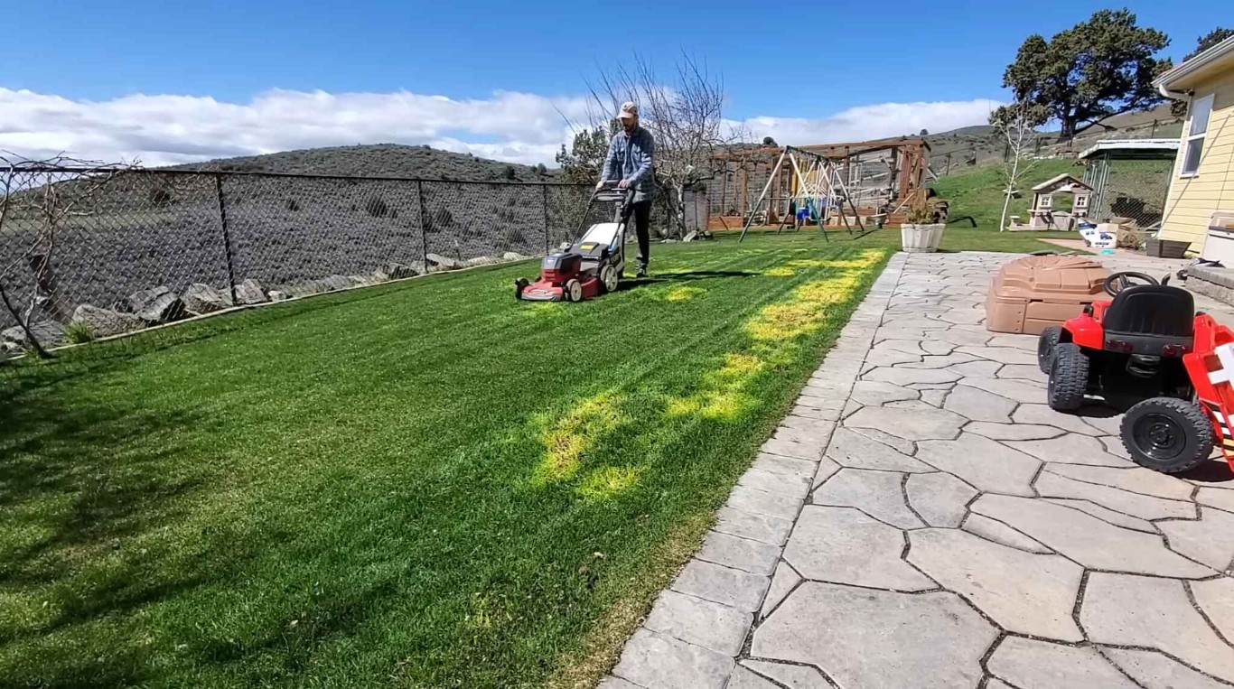 Professional lawn mowing and maintenance service in Compton, CA